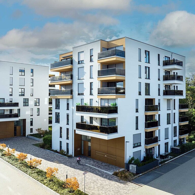 Descriptive Alt Text